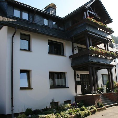 Ferienwohnung Ortsmitte-Willingen Willingen  Dış mekan fotoğraf