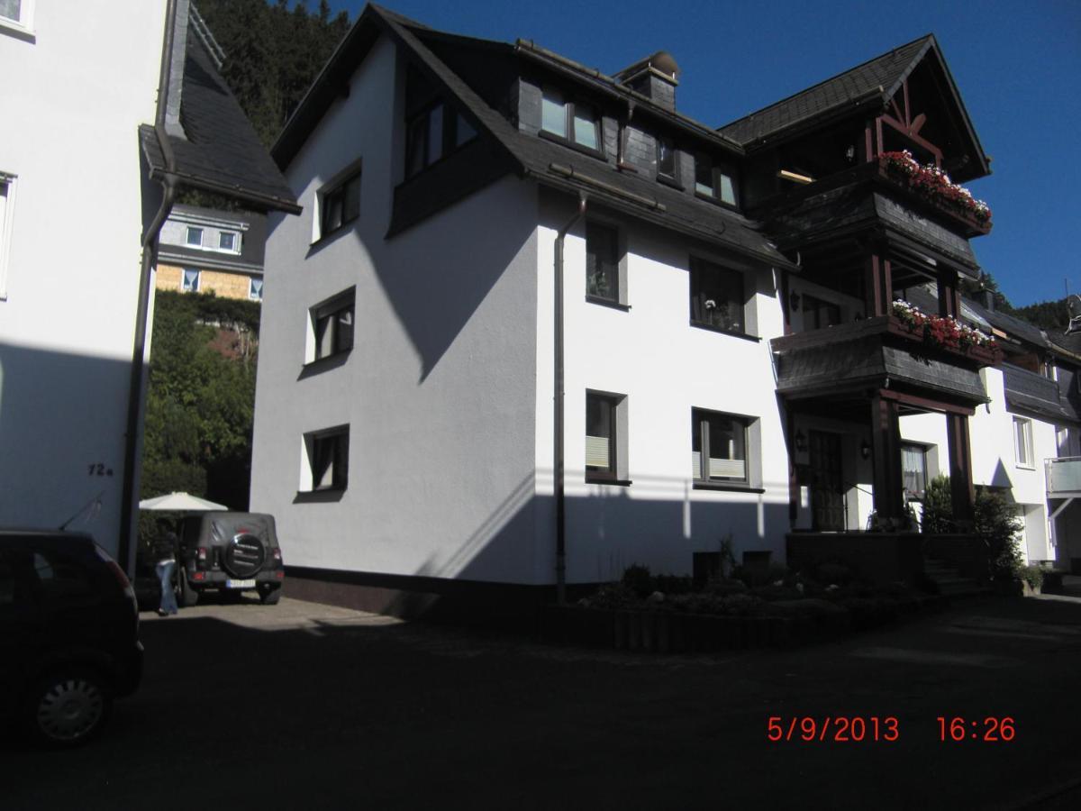 Ferienwohnung Ortsmitte-Willingen Willingen  Dış mekan fotoğraf