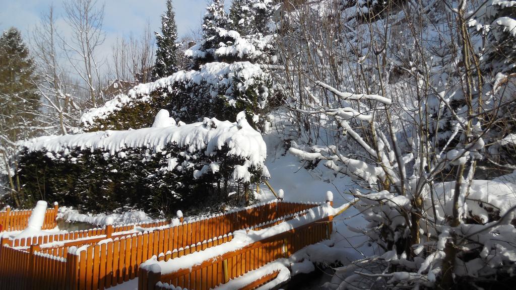 Ferienwohnung Ortsmitte-Willingen Willingen  Dış mekan fotoğraf